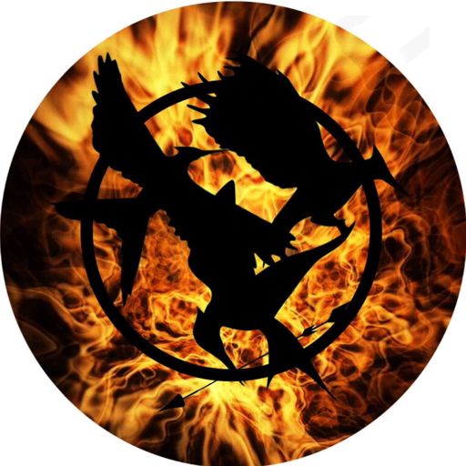 Queen Mockingjay Mockingjay Amino