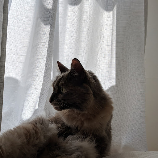 Monsterball Icon Pack