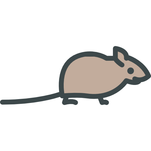Rodent, Wild Life, Animal Kingdom, Mouse, Animals, Zoo Icon