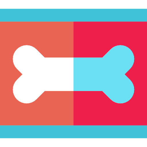 X Ray Icons Free Download