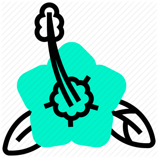 Flora, Flower, Hawaii, Mugunghwa Icon