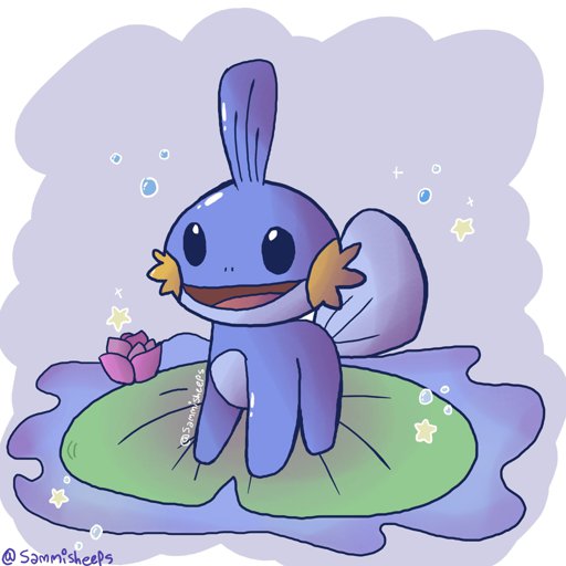 Mudkip! Amino