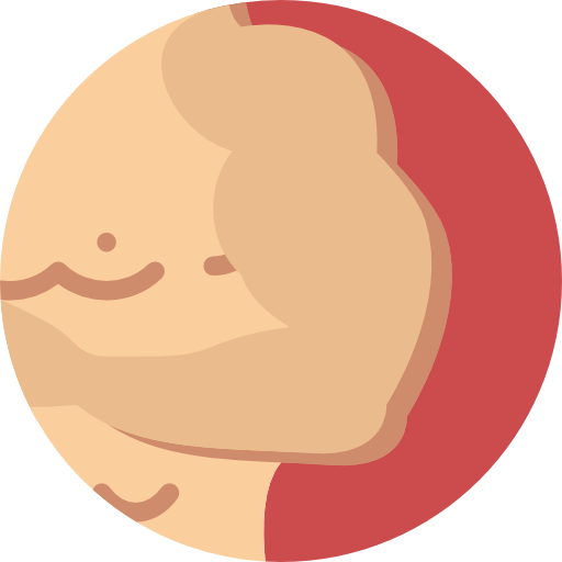 Muscle, Arm, Body Parts, Medical, Anatomy Icon