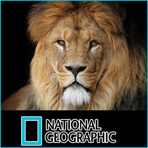 National Geographic Channel Steemit