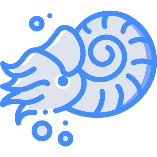 Nautilus
