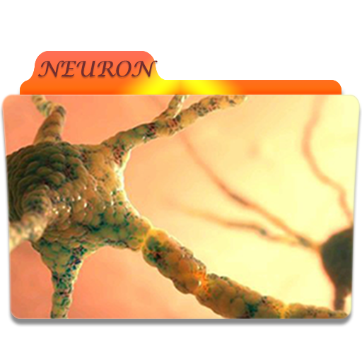 Neuron Folder Icon