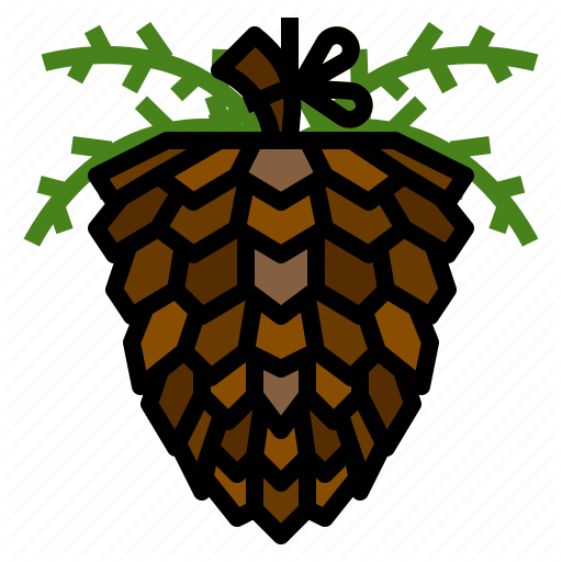 Christmas, Decoration, Pine, Pinecone Icon