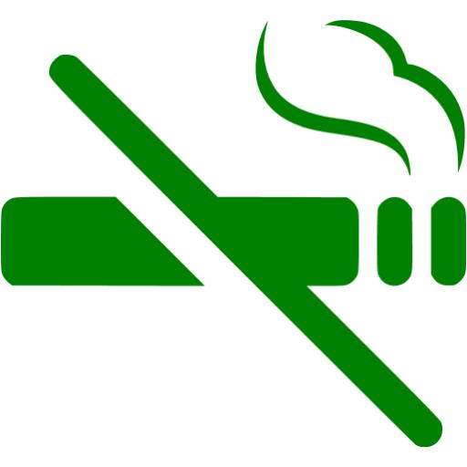 Green No Smoking Icon