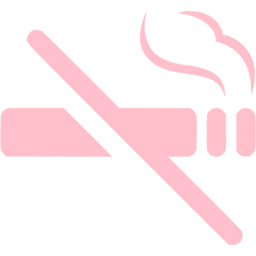 Pink No Smoking Icon
