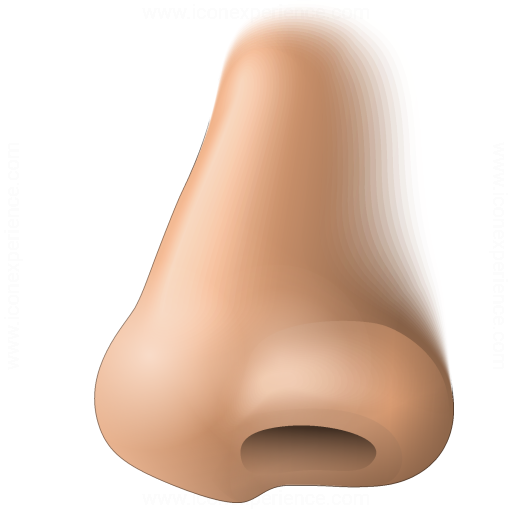 Iconexperience V Collection Nose Icon