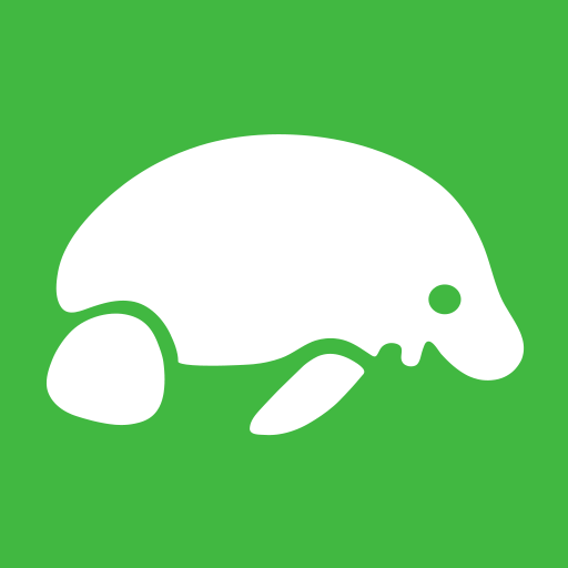 Mongodb Gui, Ide Client For Professional Devs Studio