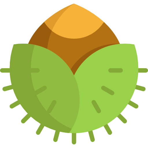 Nut Icon