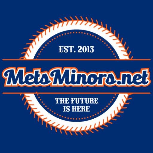 Metsminors Net
