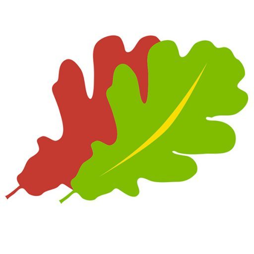 Cropped Twin Oaks Icon Leaf Twin Oaks Rv Park