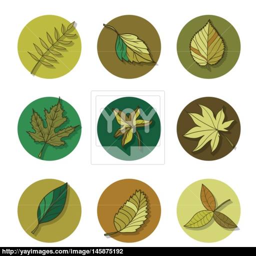 Leaves Icon Green Leaf Of Forest Tree Vector