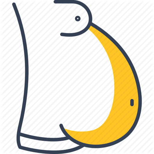 Beauty, Health, Man, Obesity Icon