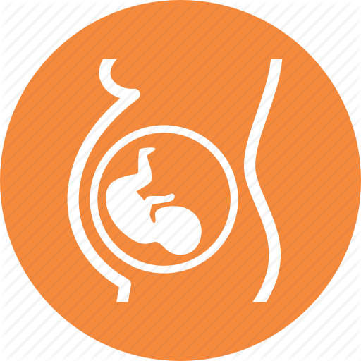 Embryo, Obstretrics, Pregnancy Icon