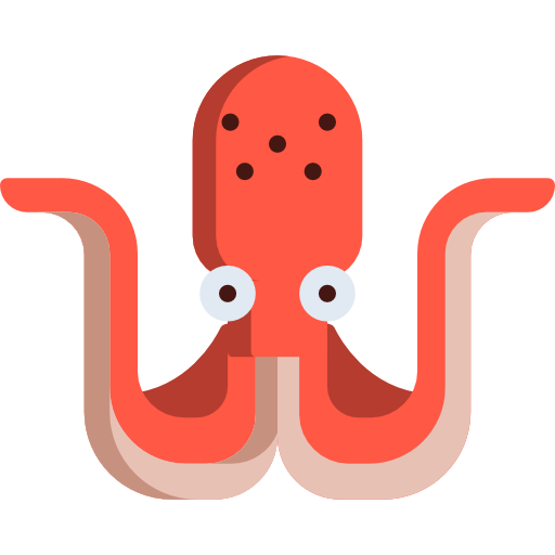 Octopus