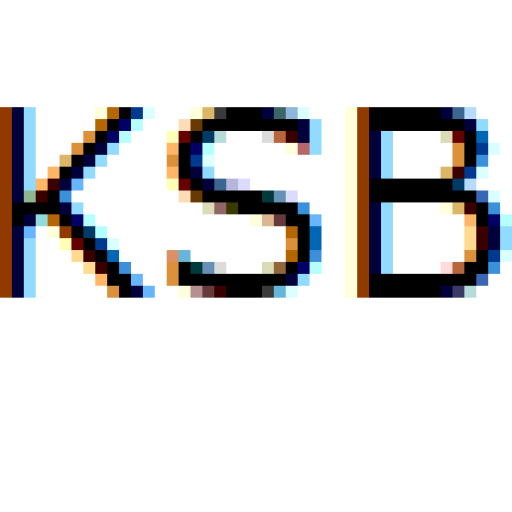 Woden's One Eye K S Barton