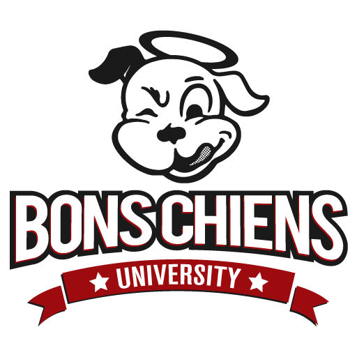 Cropped Official Logo Icon