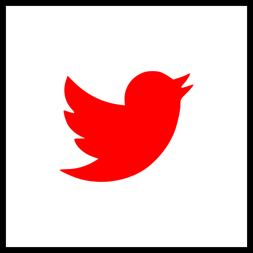 Twitter Outline Icon