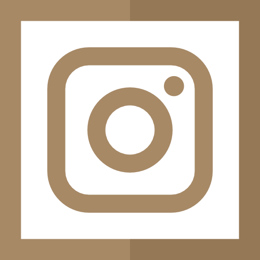 Instagram Icon