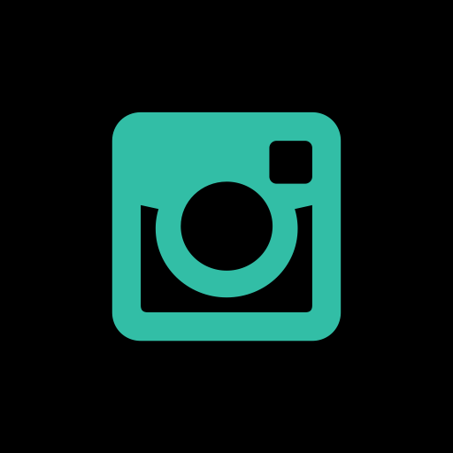 Instagram Icon