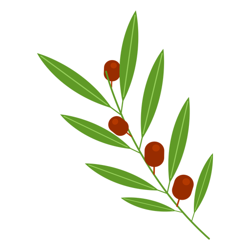 Olive Branch Icon