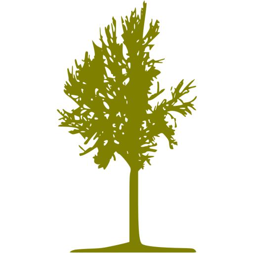 Olive Tree Icon
