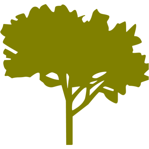 Olive Tree Icon