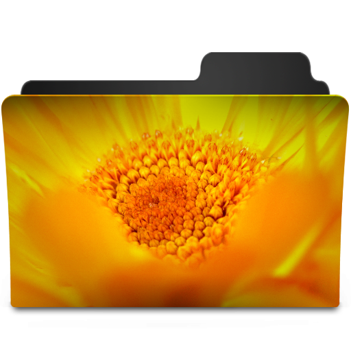 Flowers Yellow Icon