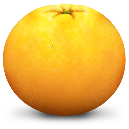 Orange Icon Paradise Fruits Iconset Artbees