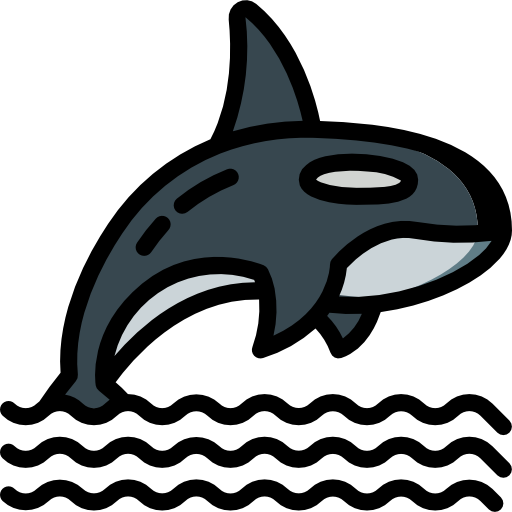 Orca