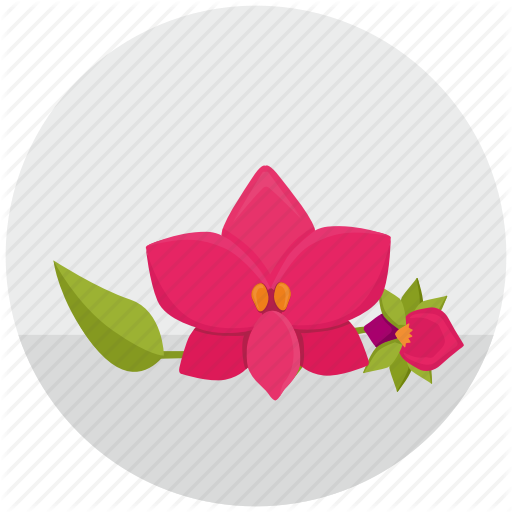 Bud, Flower, Orchid, Plant, Round Icon