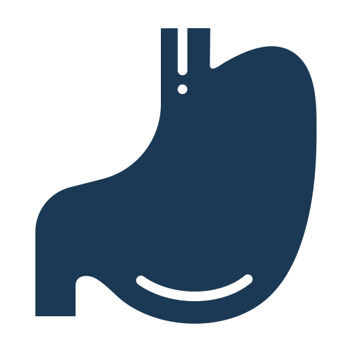 Body Organ, Stomach, Medical Icon Free Of Medical Flat Color