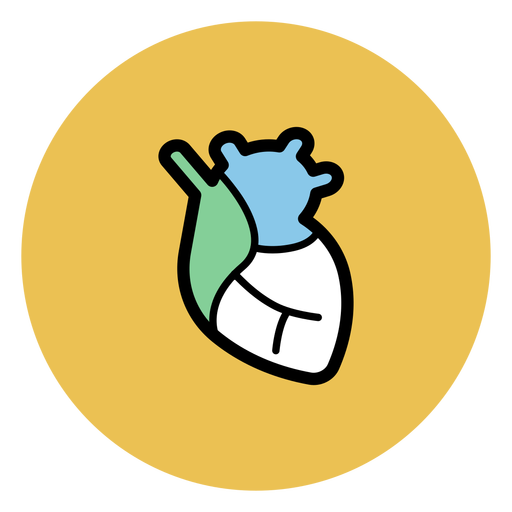 Heart Organ Icon