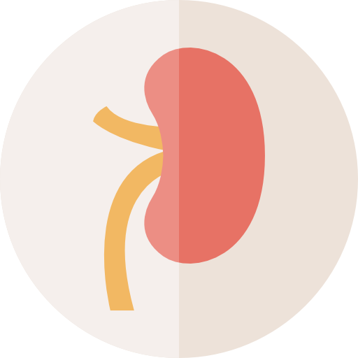 Organs Icon