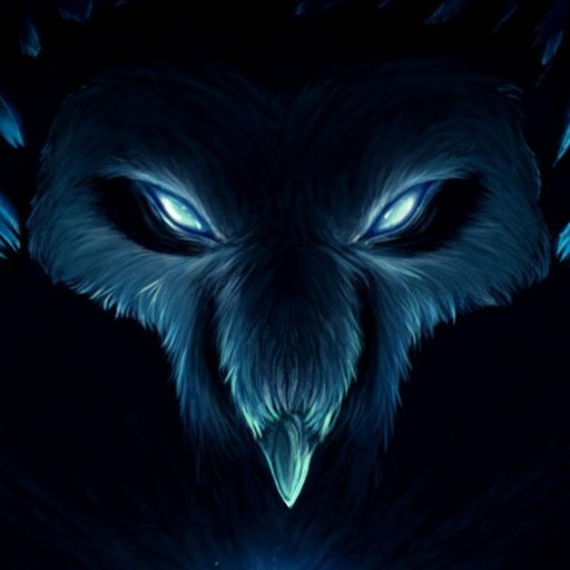 Taki Ori And The Blind Forest Amino