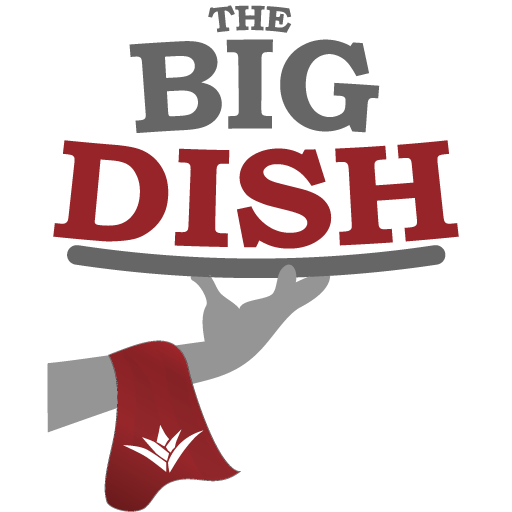 The Big Dish