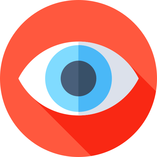 Vision