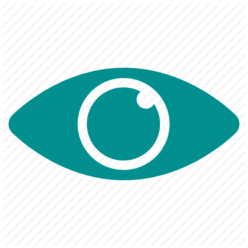 Eye, Overview, View Icon