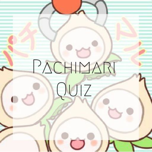 Pachimari Quiz Overwatch Amino