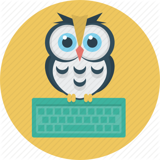 Education, Keyboard, Learning, Owl Icon