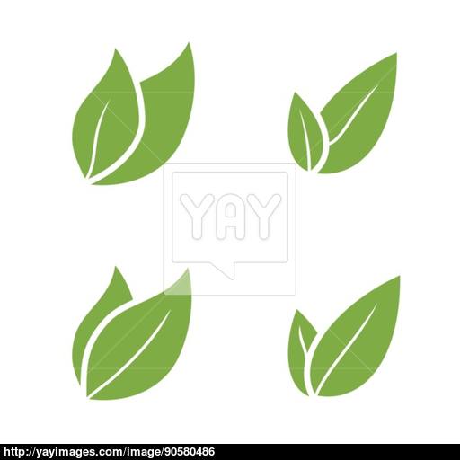 Leaf Pair Icon Vector Illustrations On Both Solid Vector