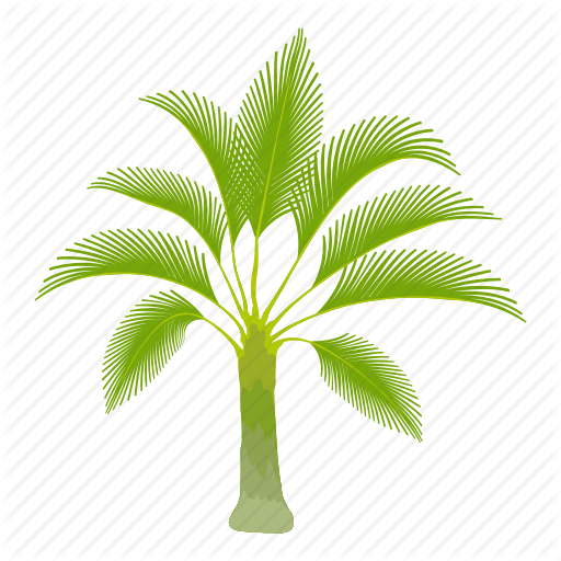 Palm Trees Cartoon
