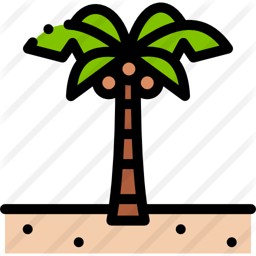 Palm Tree