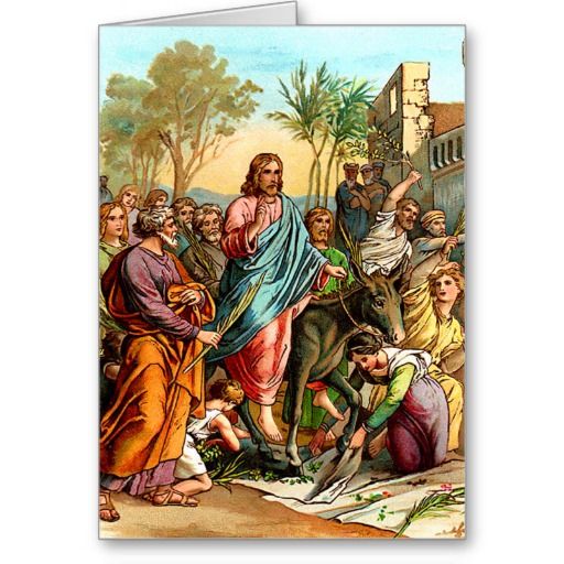 Christs Entry Into Greeting Card Bible Stories