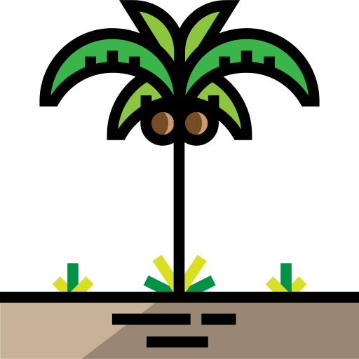 Palm Tree Png Icon