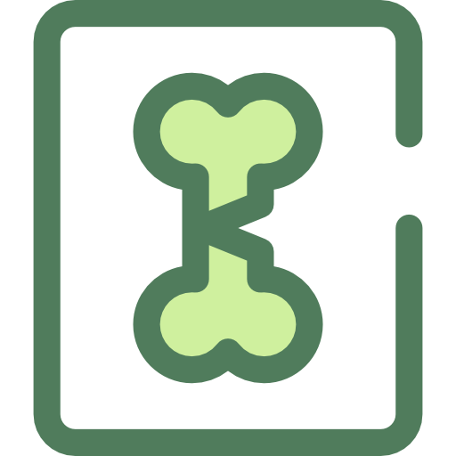 Tropical, Palm Tree, Nature Icon