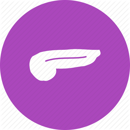 Anatomy, Gallbladder, Healthy, Human, Pancreas, System Icon